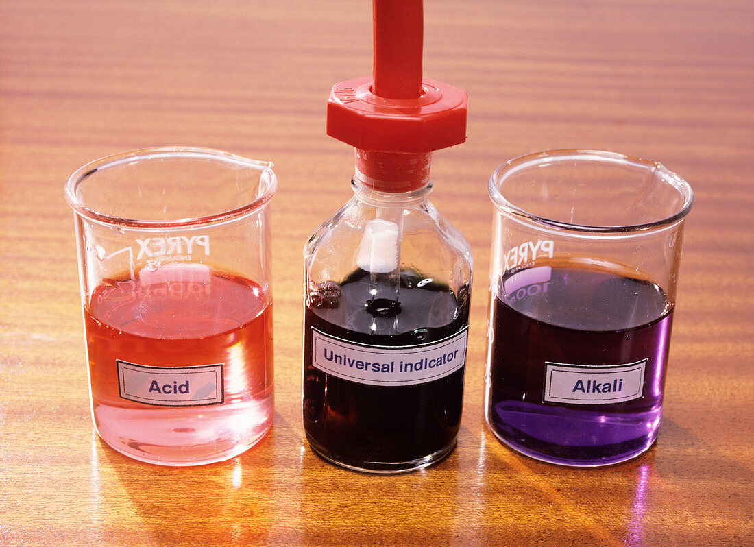 Universal indicator