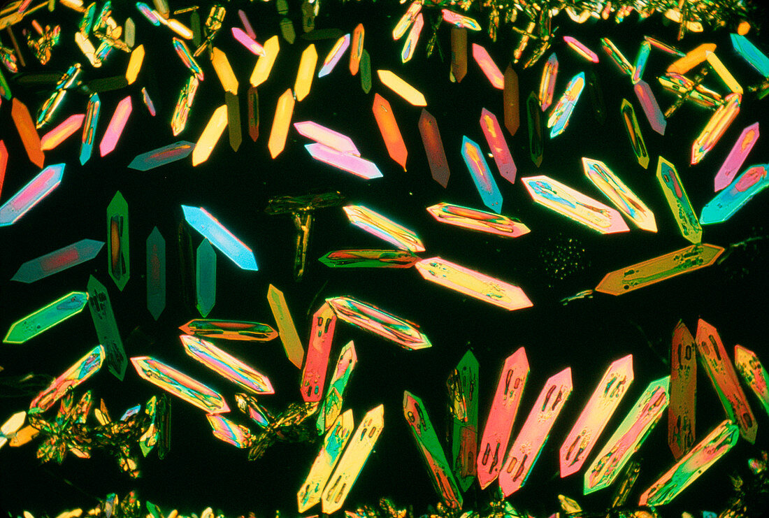 Light micrograph of a ketone