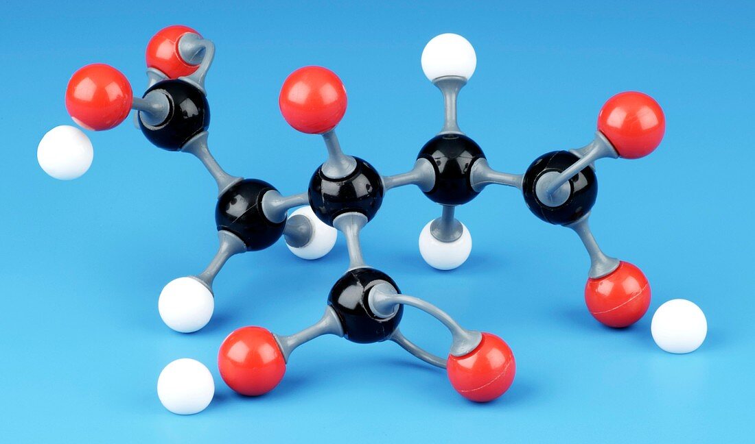 Citric acid,molecular model
