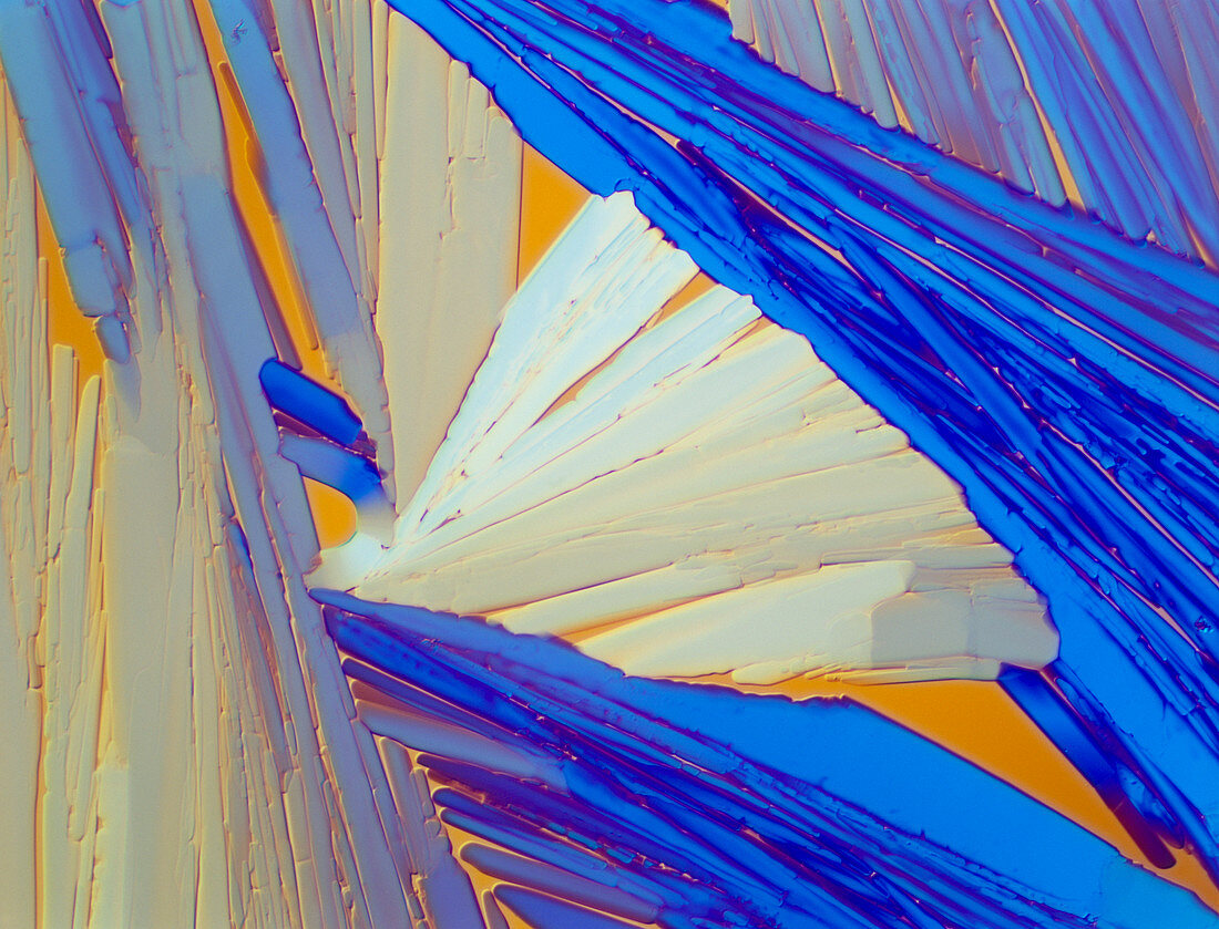Polarised LM of acenaphthene crystals
