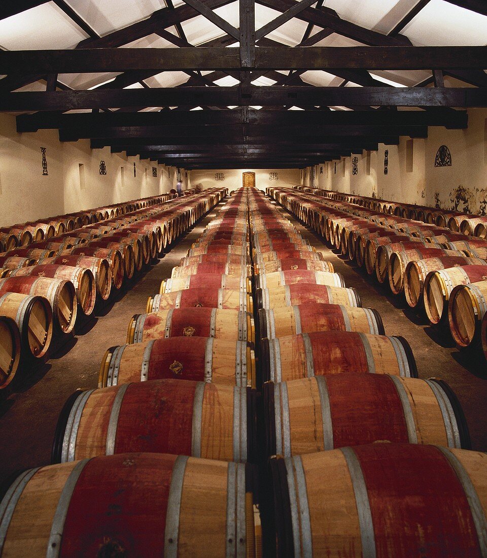 Weinkeller für Zweijährige, Château Langoa,St-Julien,Bordeaux