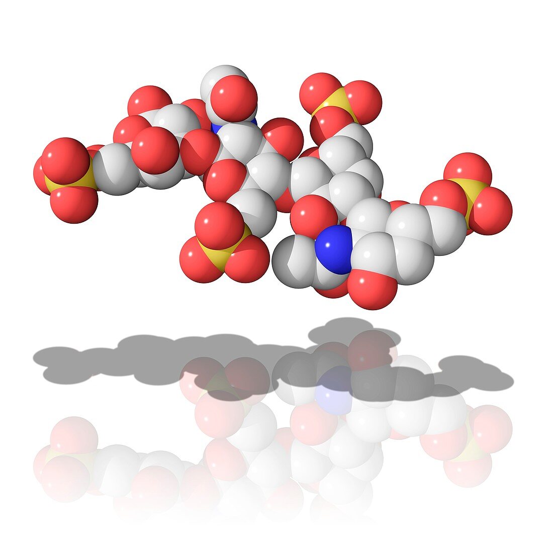 Keratan sulphate,molecular model