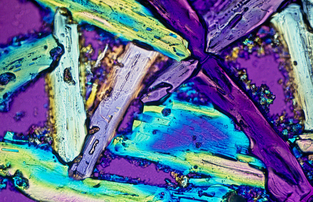Ammonium sulphate crystals