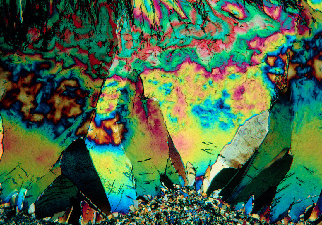 Polarised LM of nicotinamide crystals