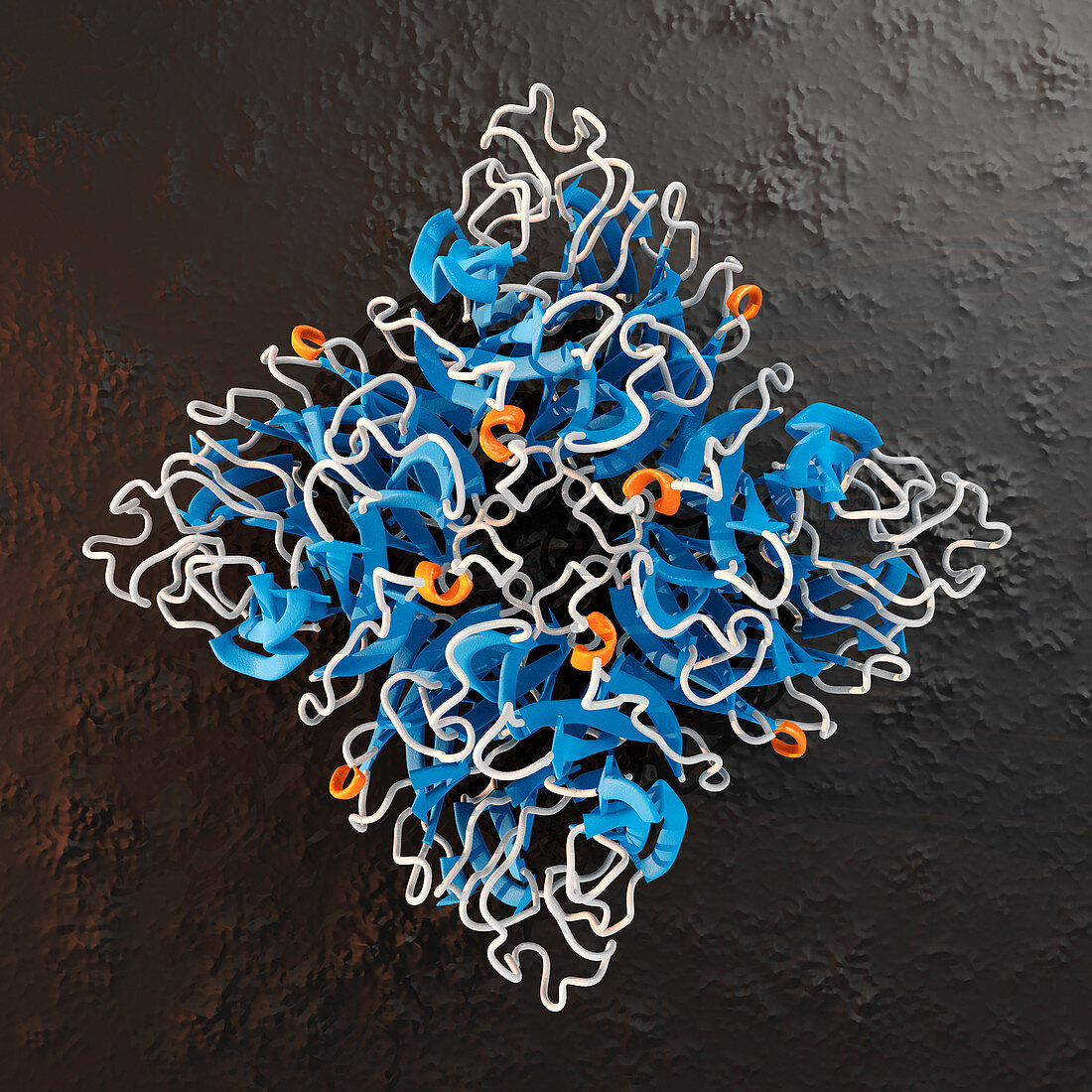 Neuraminidase influenza enzyme