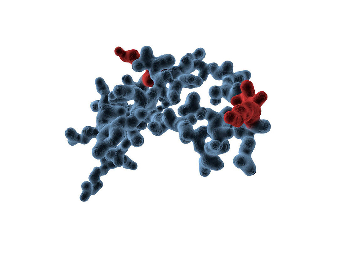 Fragment of a kinase molecule,artwork