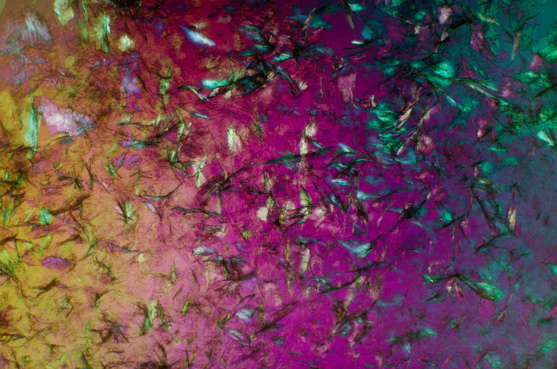Polarised light micrograph of Tryptophan