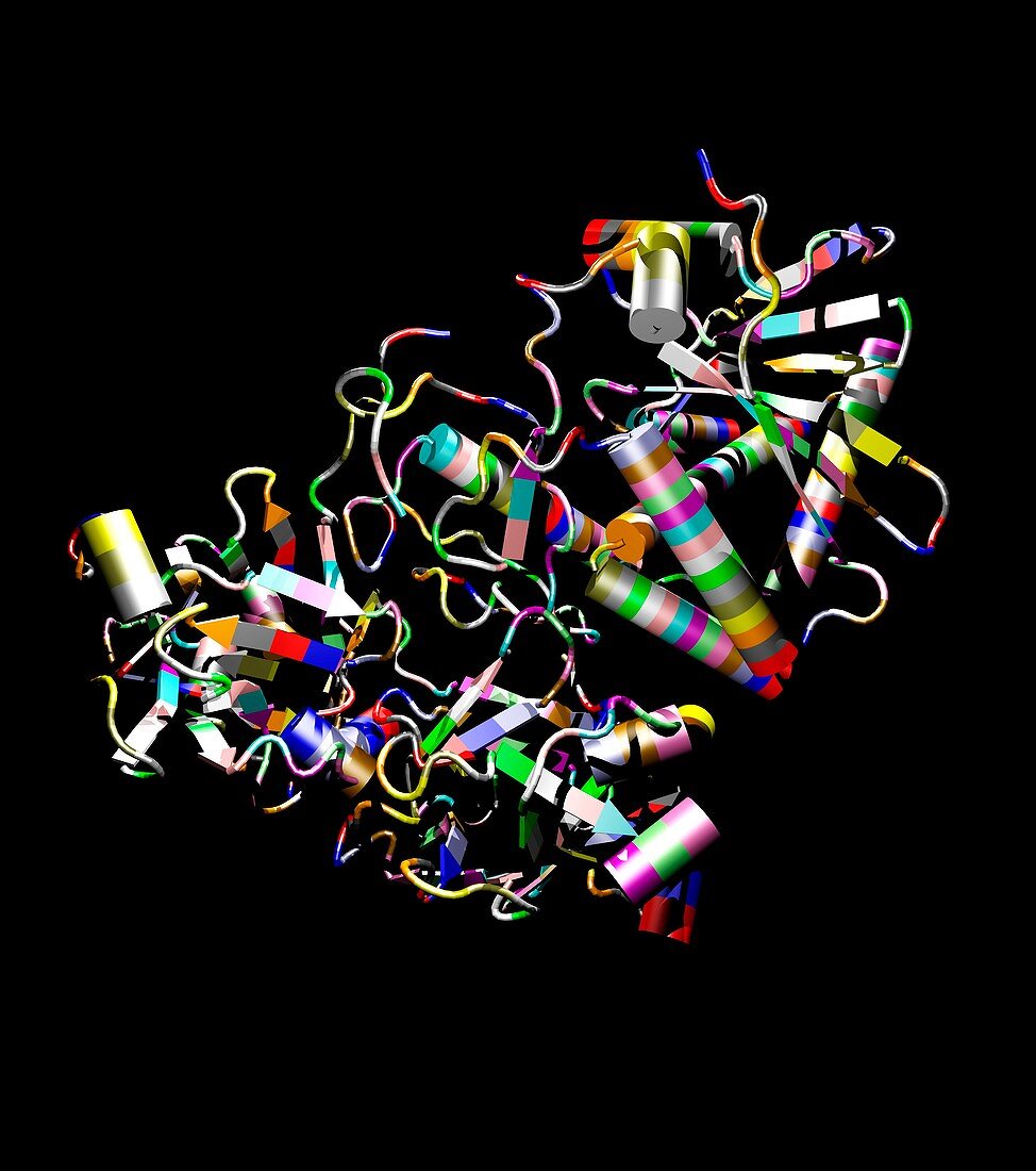Ricin molecule