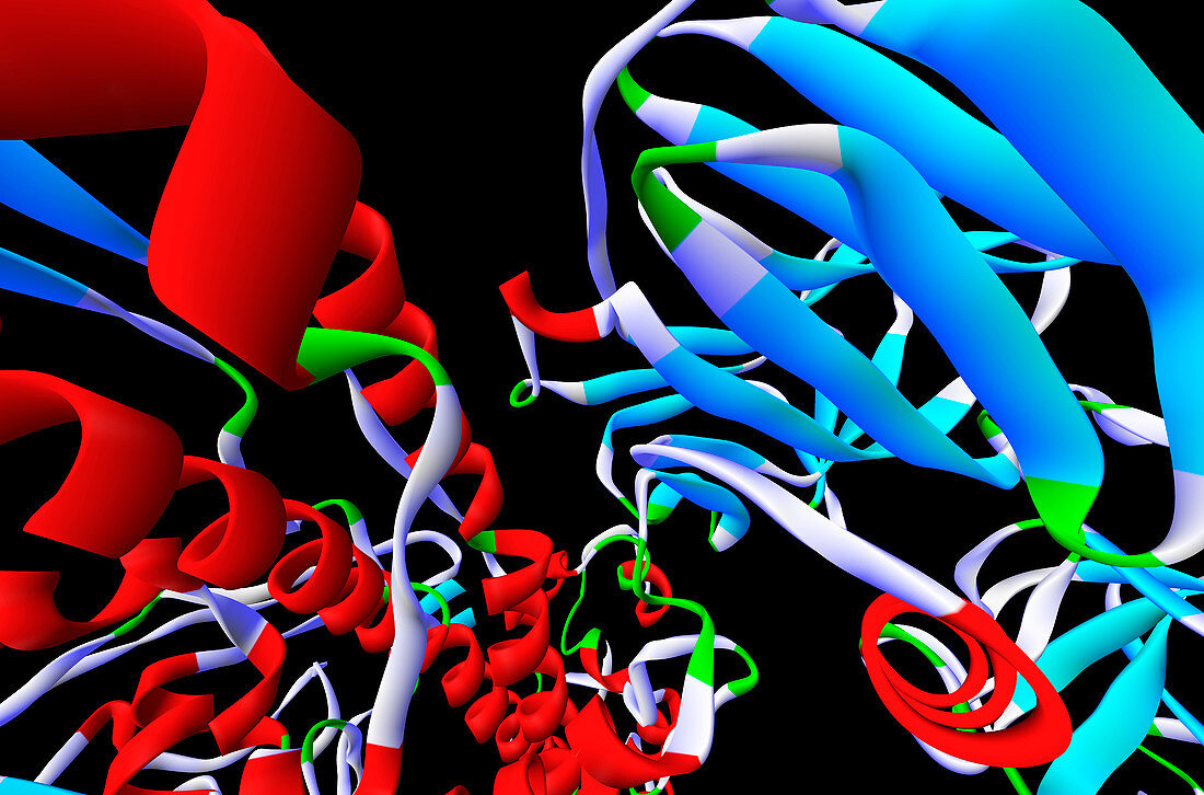 Botulinum toxin