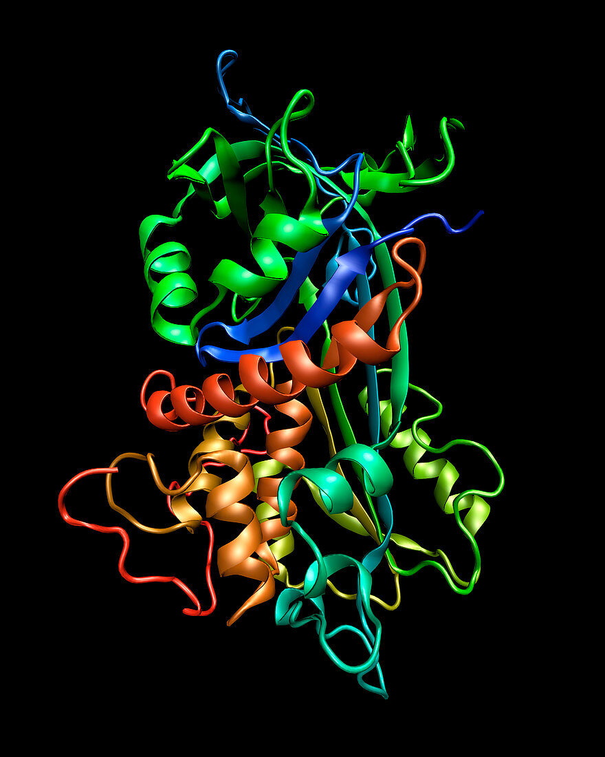Antithrombin molecule