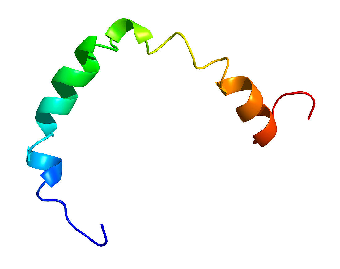 Section of human apolipoprotein A-I