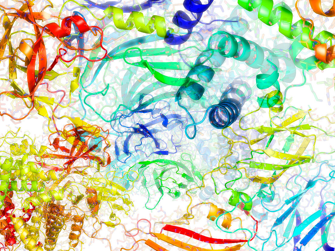 Secondary structure of proteins,artwork