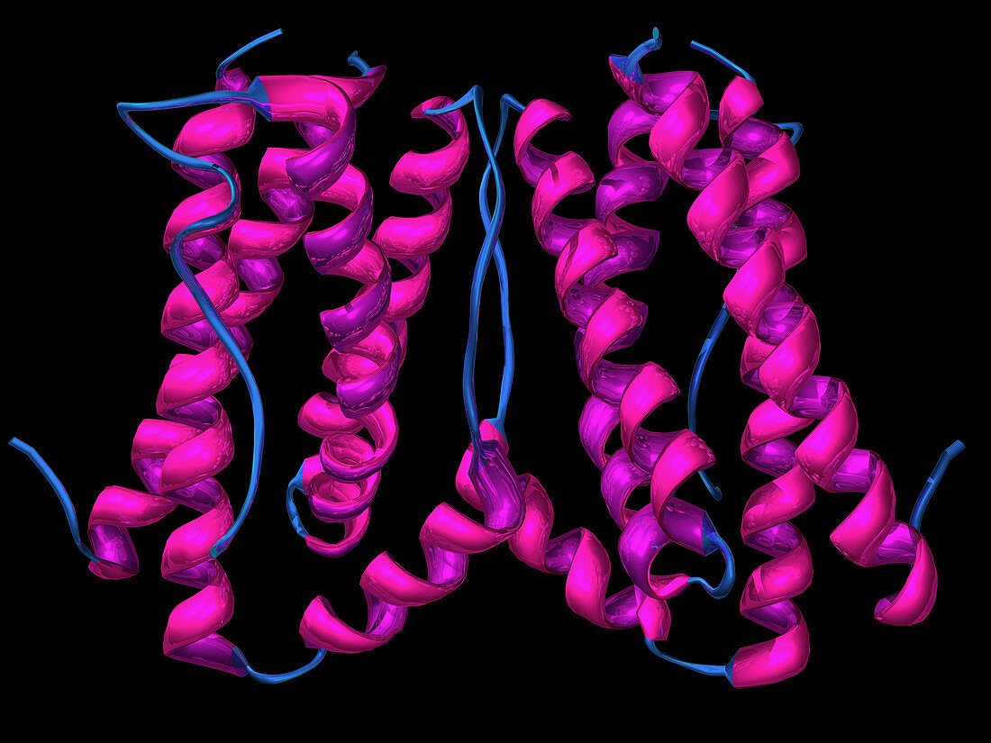 Interleukin-6,molecular model