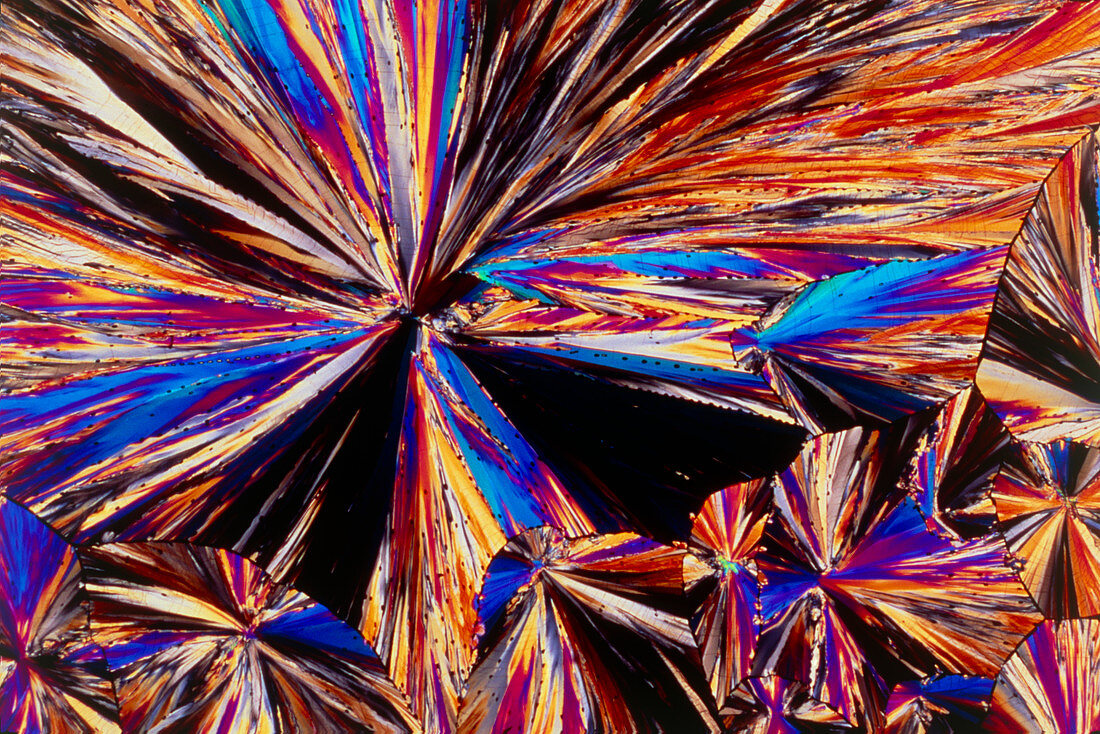 PLM of Androstenedione crystals