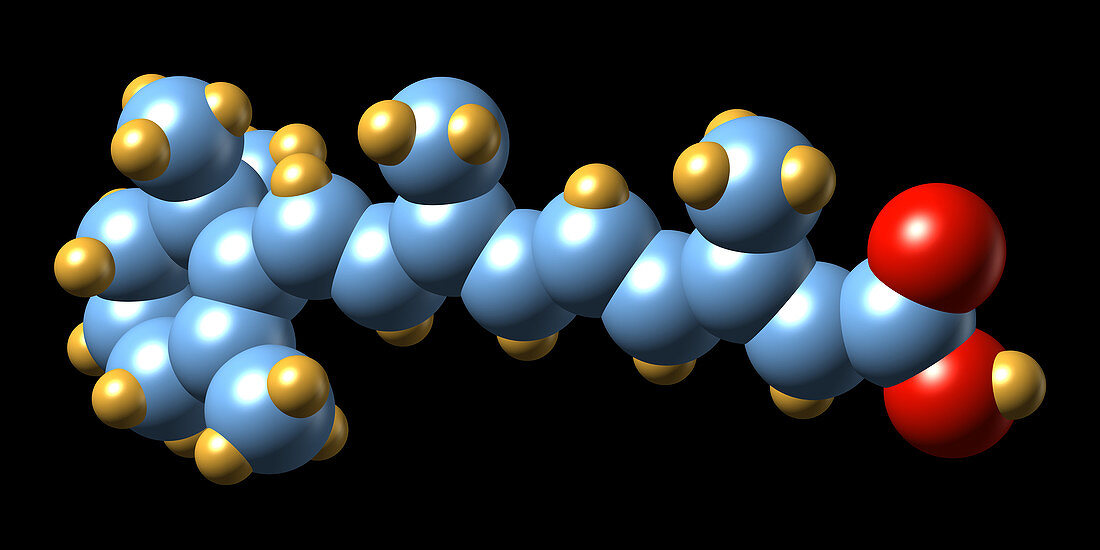 Vitamin A (retinoic acid) molecule