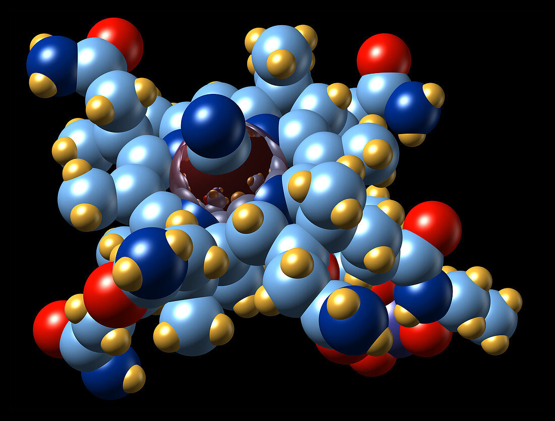 Vitamin B12 (cyanocobalamin) molecule