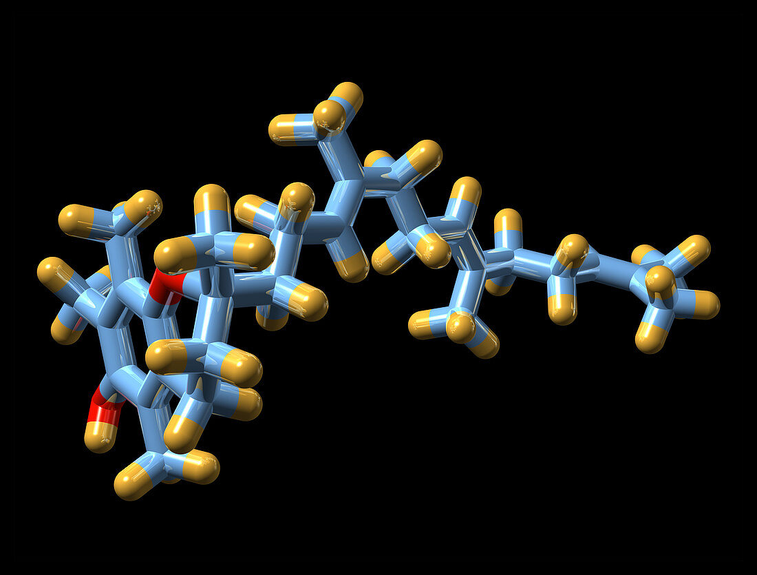 Vitamin E (tocotrienol) molecule