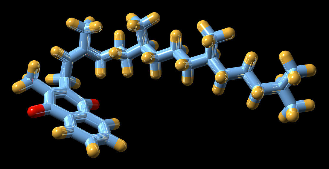 Vitamin K1,molecular model