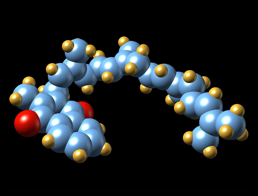 Vitamin K2,molecular model