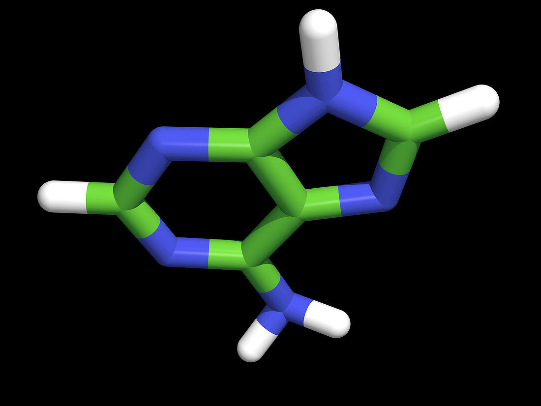 Computer artwork of a adenine molecule