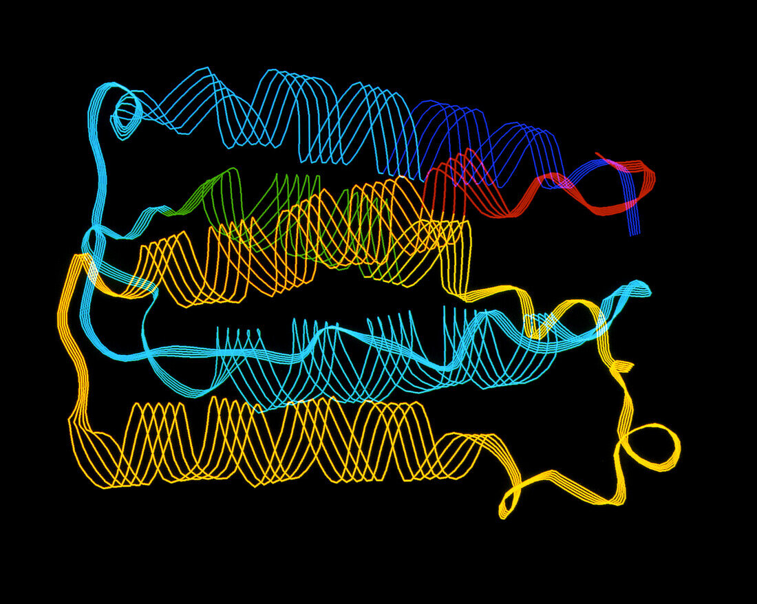 Molecular graphic of Interferon A Type 2B