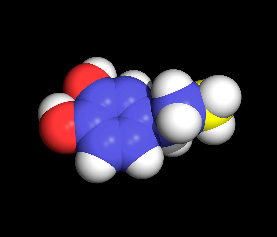 Computer artwork of a dopamine molecule
