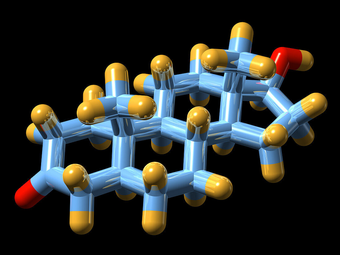 DHT hormone,molecular model