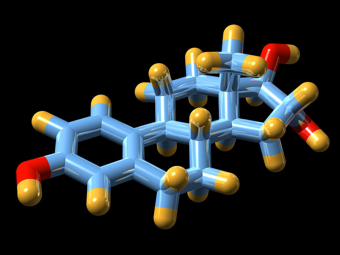 Oestriol hormone,molecular model