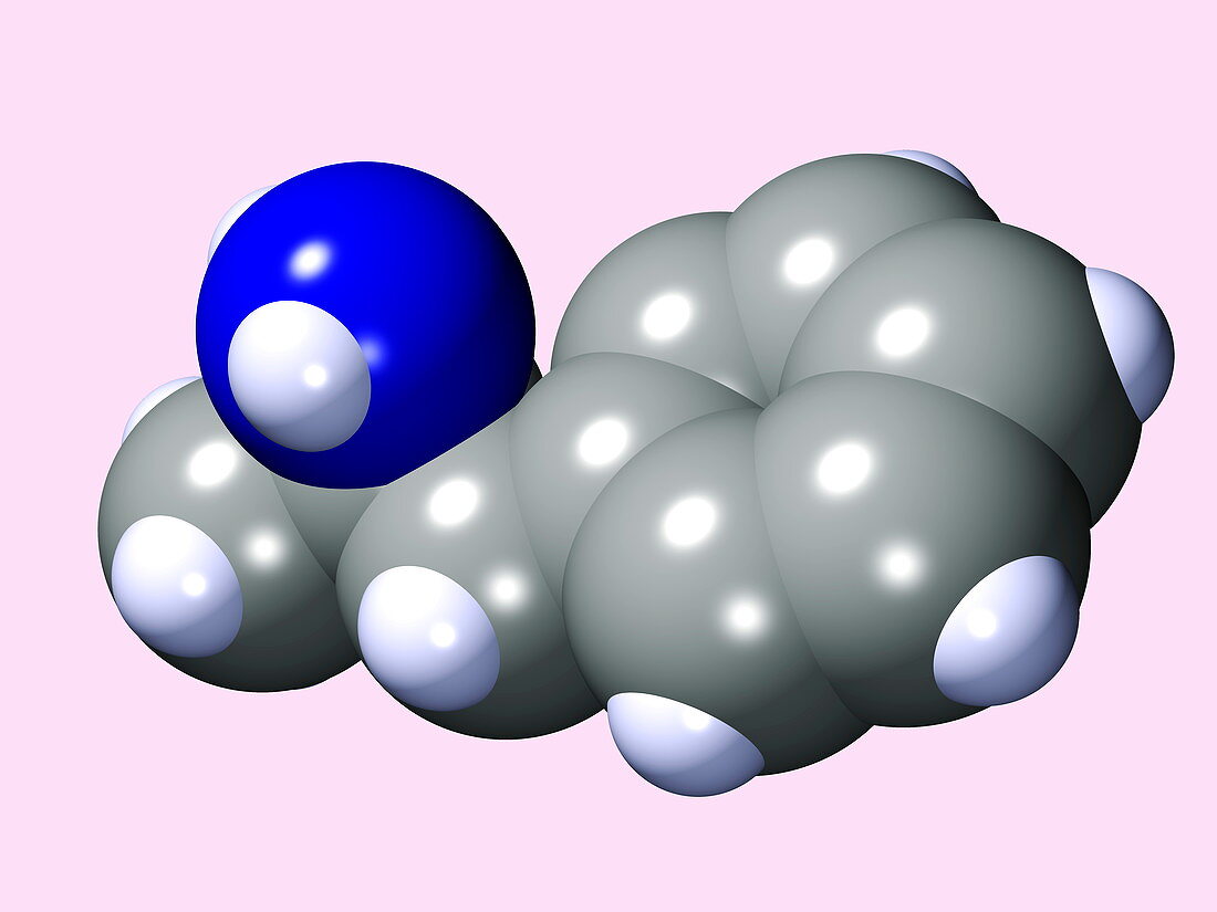 Amphetamine drug molecule