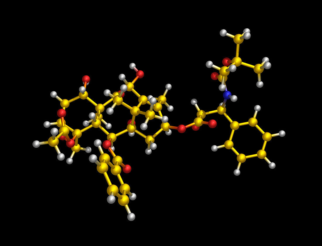 Docetaxel anti-cancer drug molecule