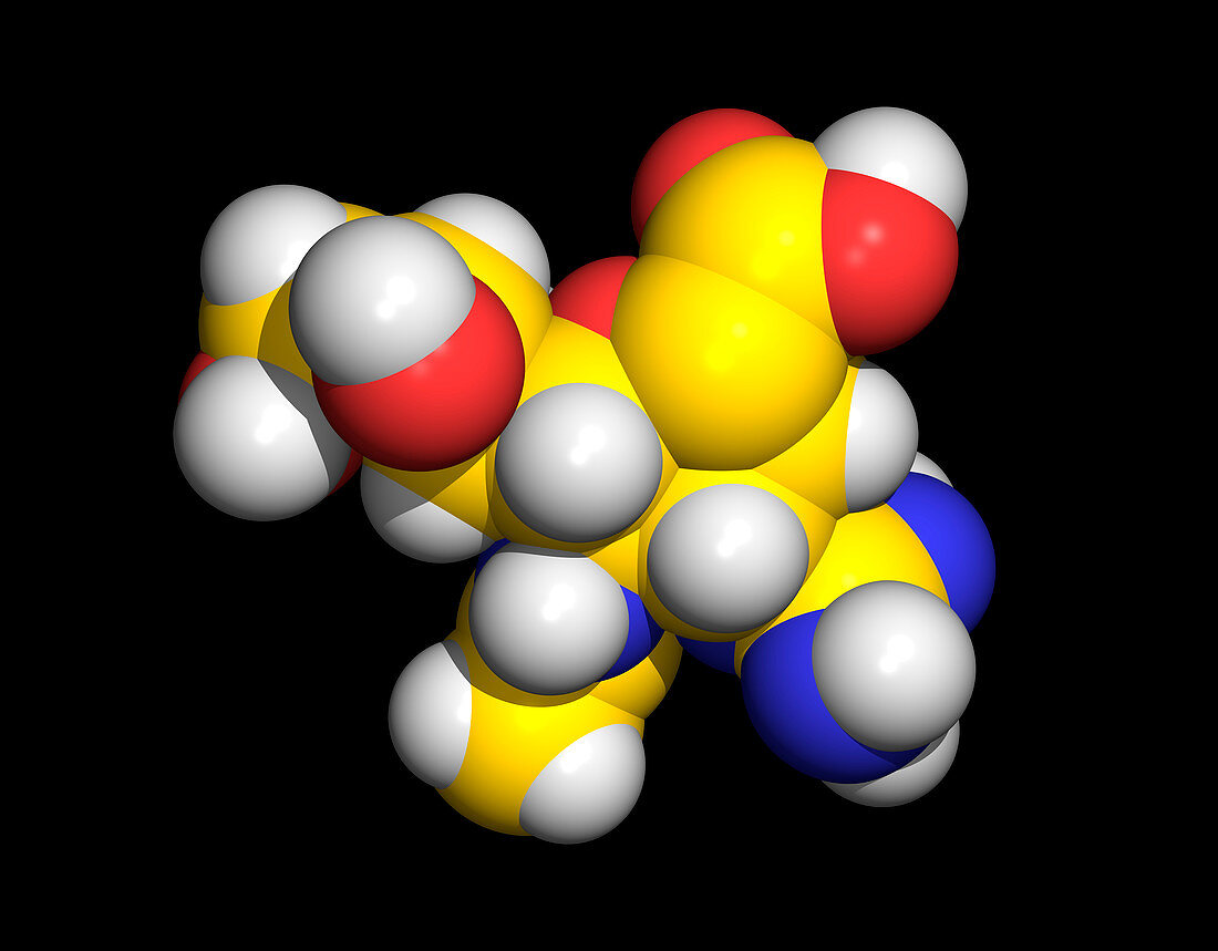 Zanamivir (Relenza) flu drug molecule