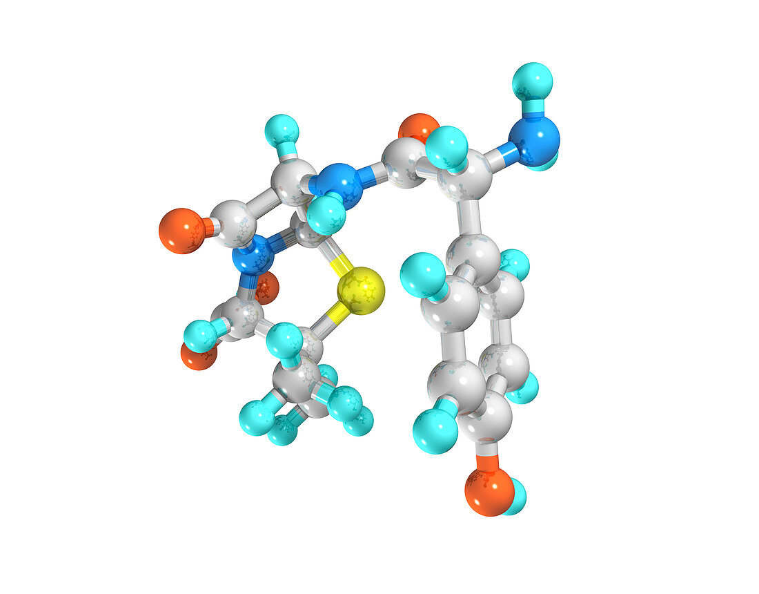 Amoxicillin drug molecule