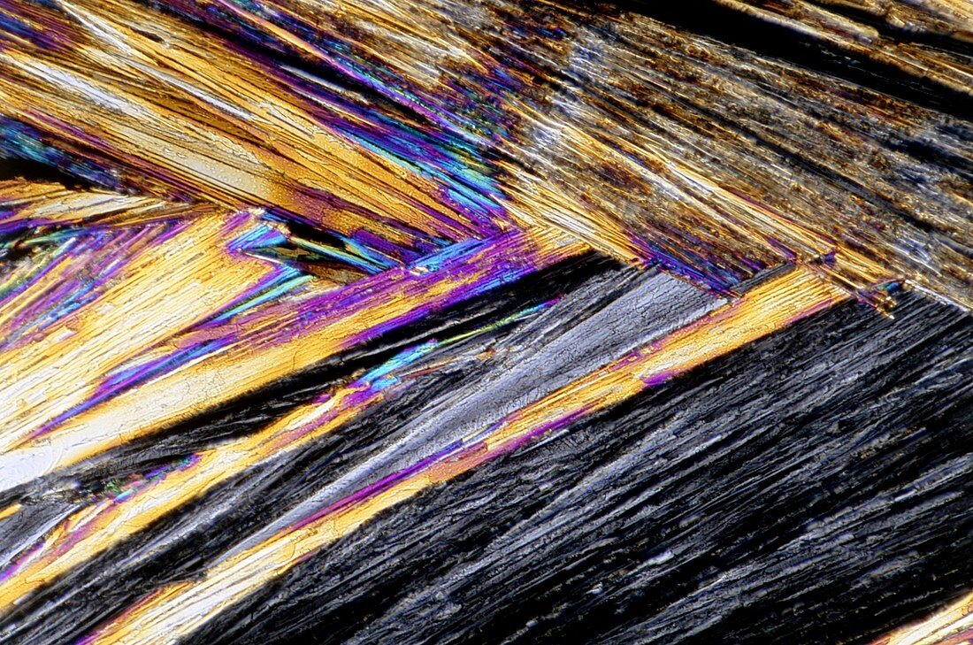 Ephedrine drug crystals,light micrograph