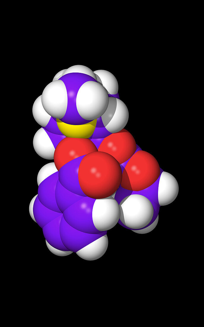 Computer graphic of a molecule of cocaine