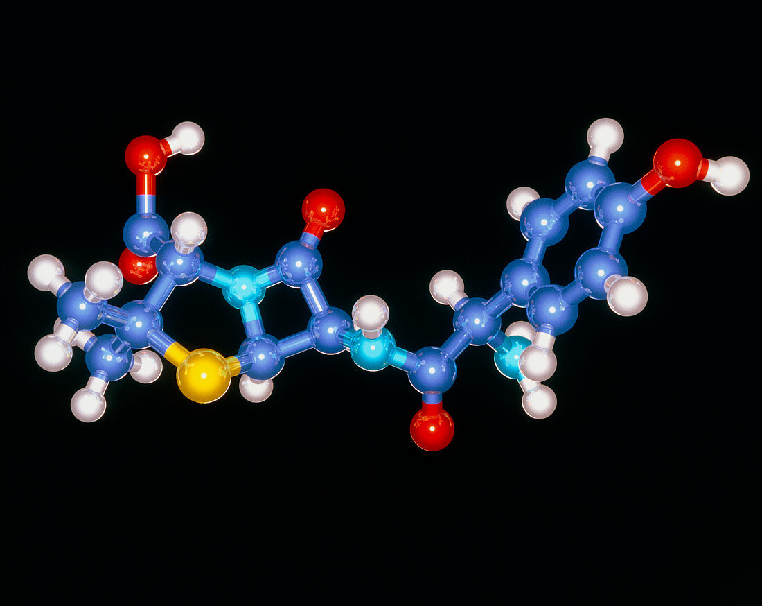 Amoxycillin drug molecule