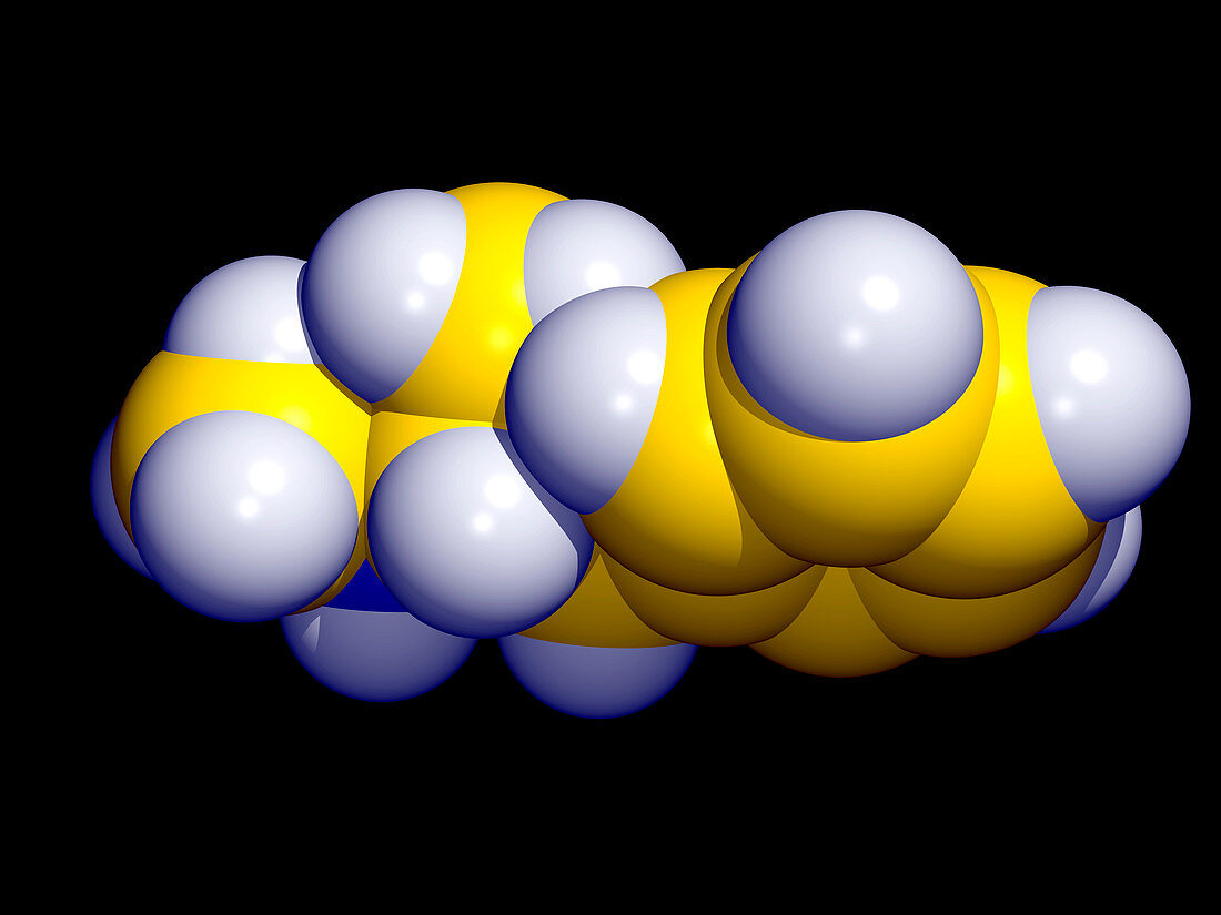 Methamphetamine molecule