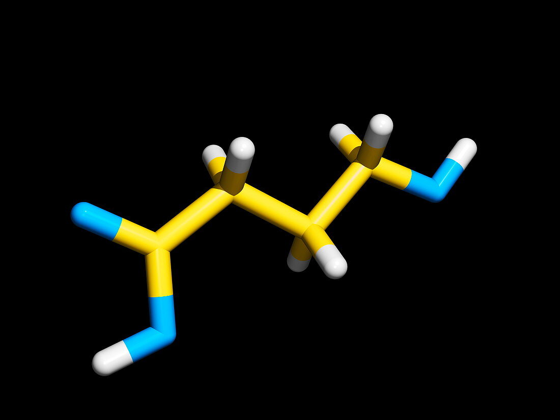 GHB molecule,recreational drug