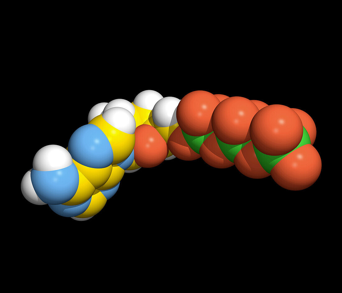 Adenosine triphosphate (ATP) molecule