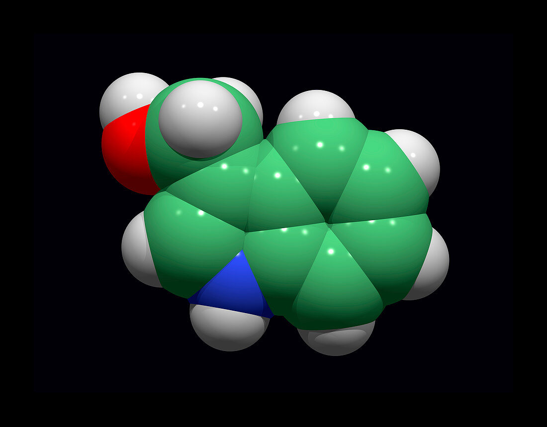 Indole-3-carbinol anticancer molecule