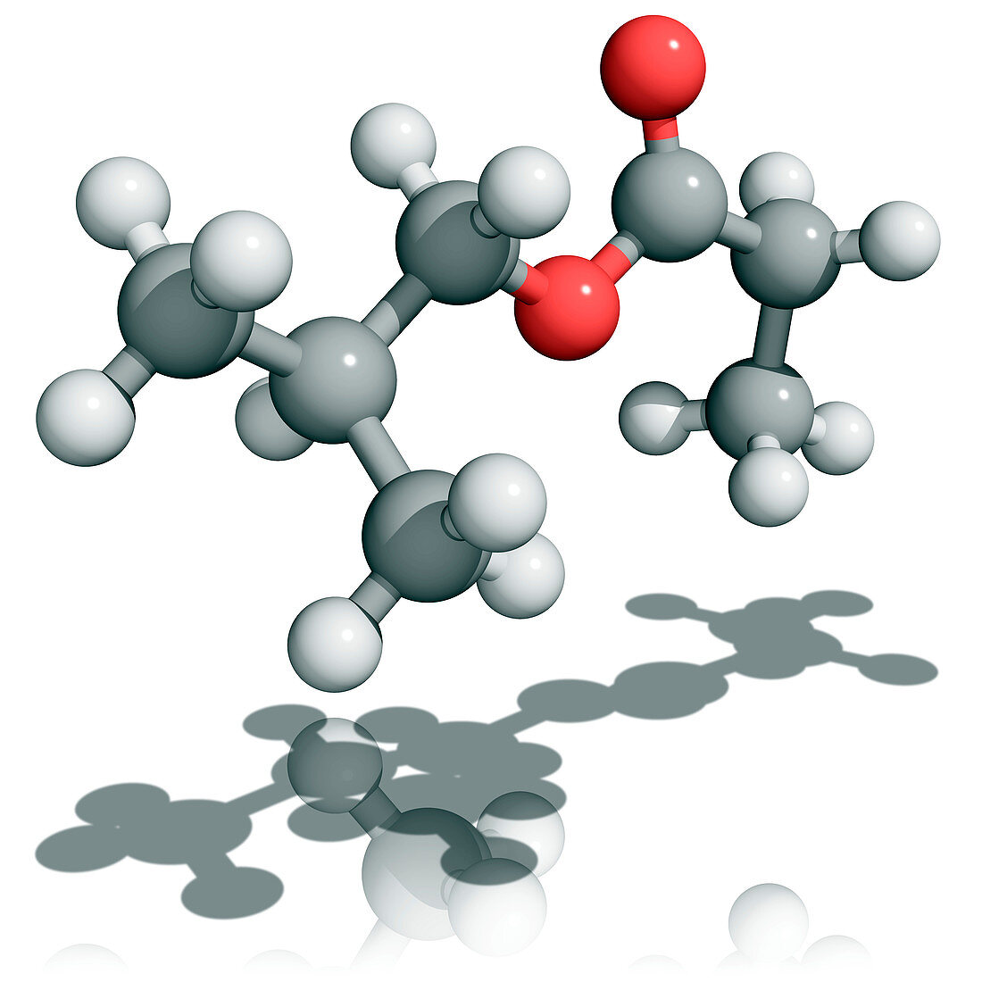 2-methylpropyl propanoate molecule