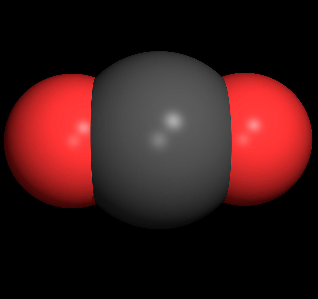 Carbon dioxide molecule