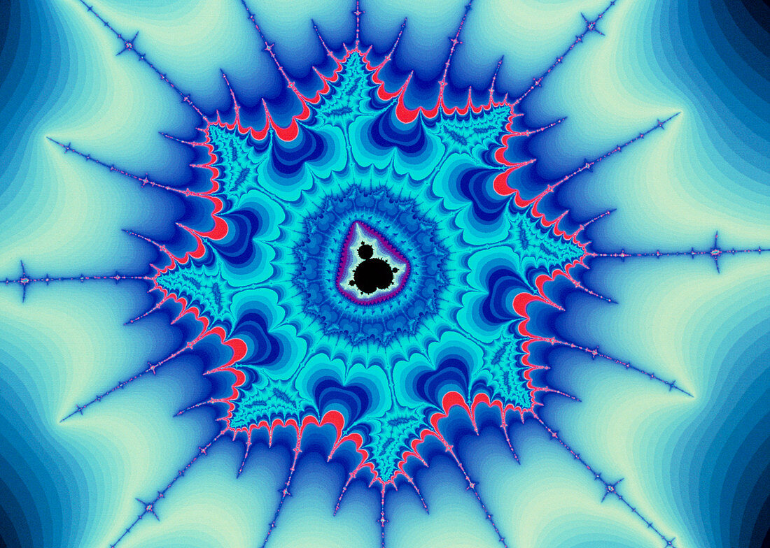 'Oracle' - Mandelbrot Set fractal