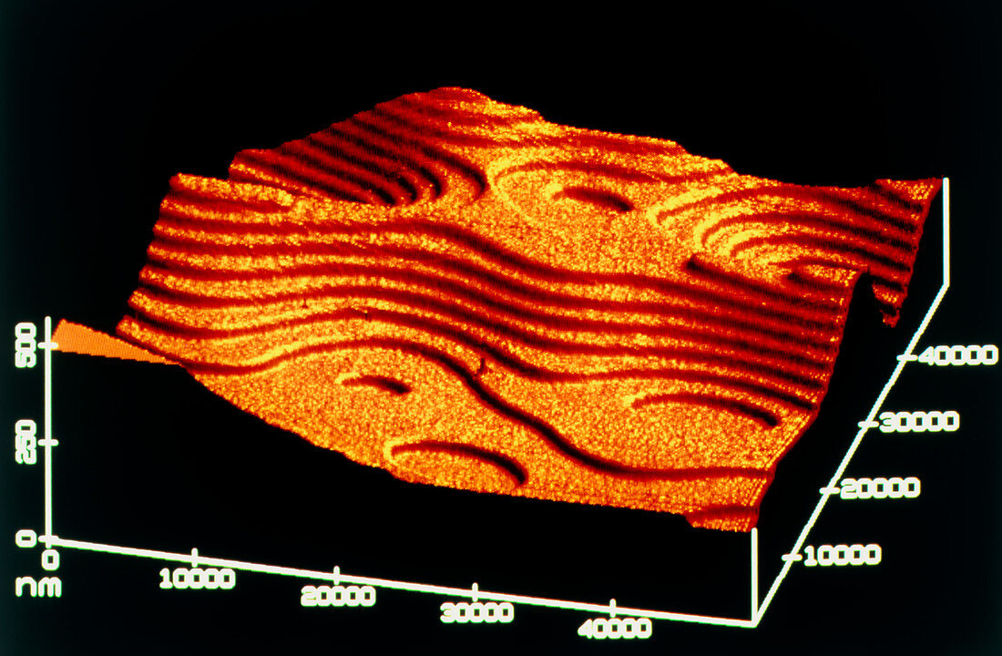 Contour map of polymer coating on silicon