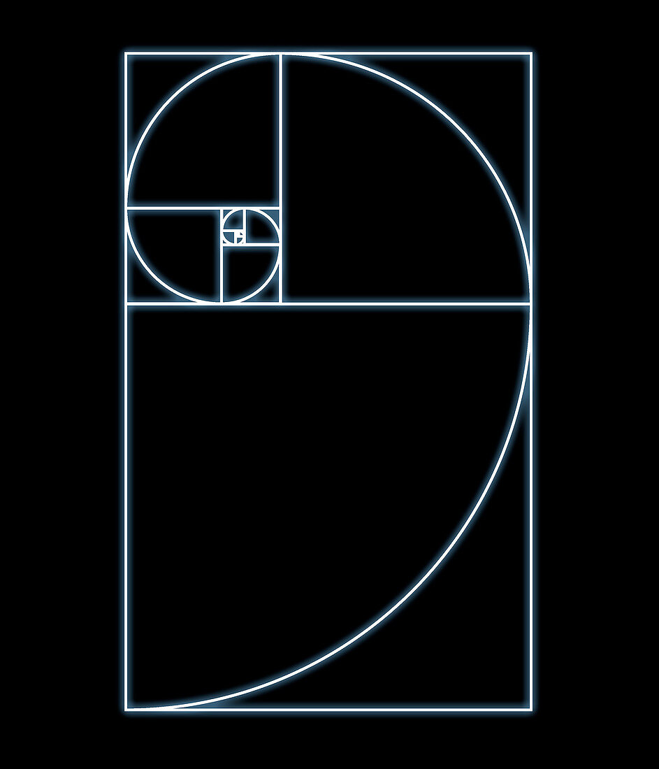 Fibonacci spiral,artwork