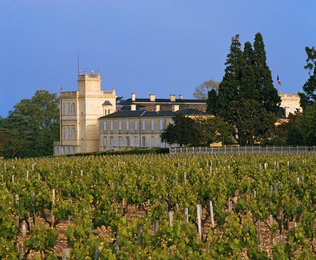 Weinberg und Château Ducru-Beaucaillou in St-Julien, Bordeaux