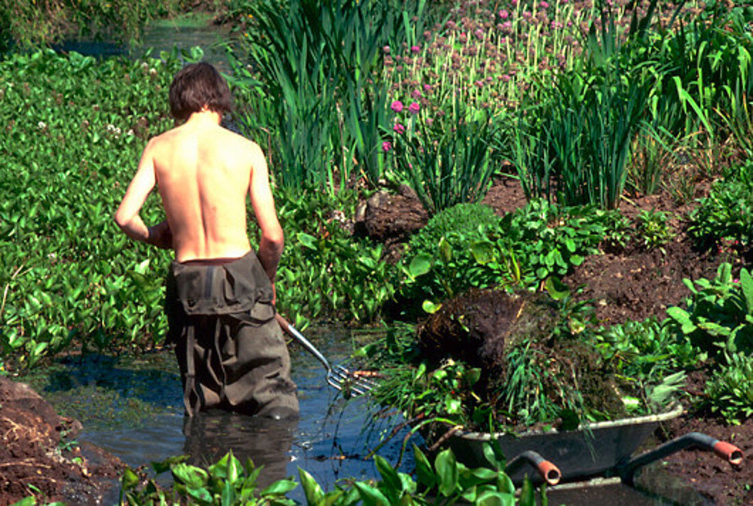 Clearing pond weed from a stream