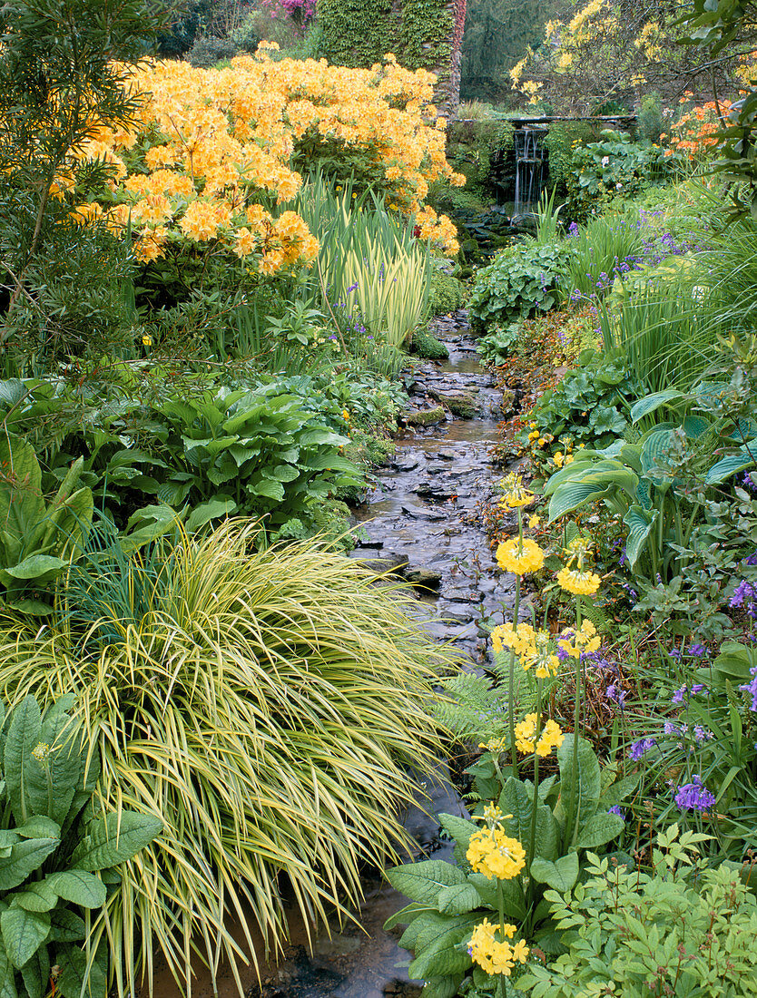 Stream in garden