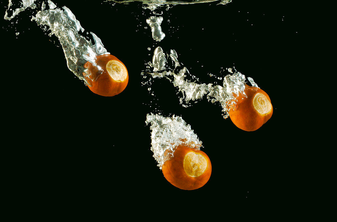 Conkers splashing underwater