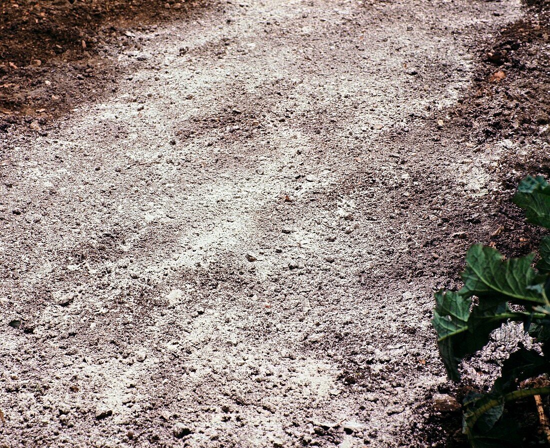 Liming soil