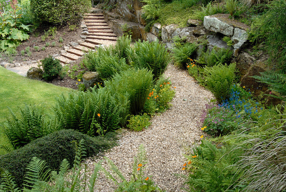 Garden path and steps